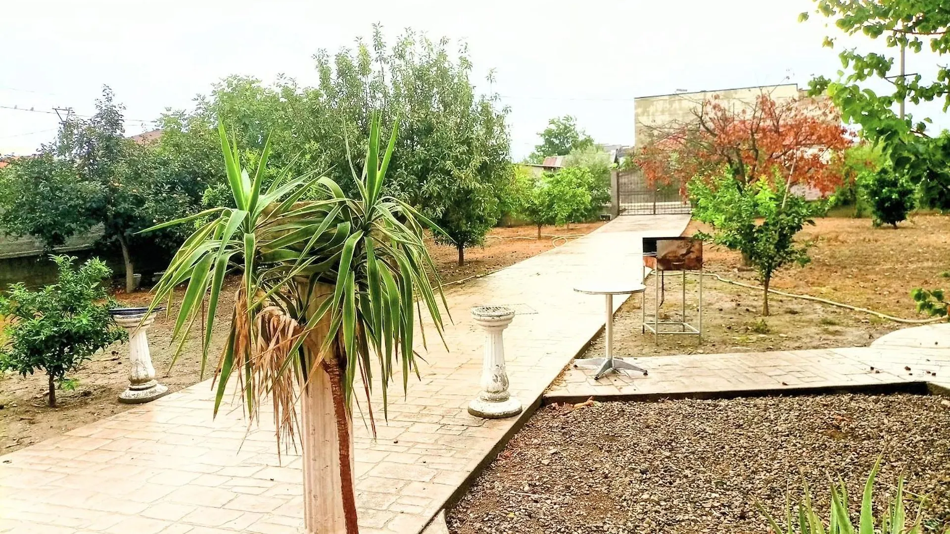 Villas Eleni For Rent Best View Xhafzotaj