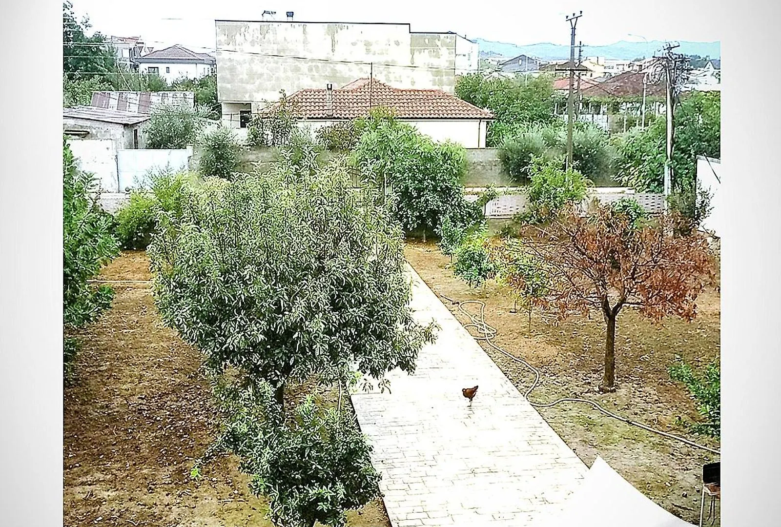 Villas Eleni For Rent Best View Xhafzotaj 0*,  Albânia