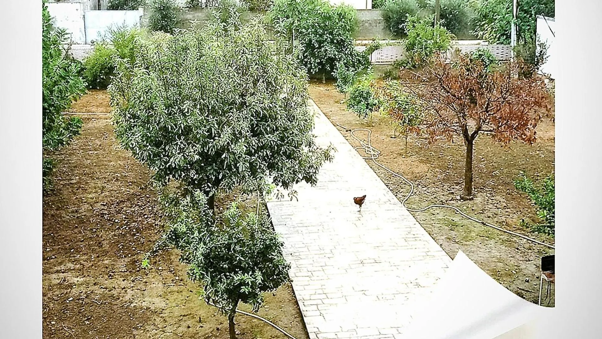 Villas Eleni For Rent Best View Xhafzotaj